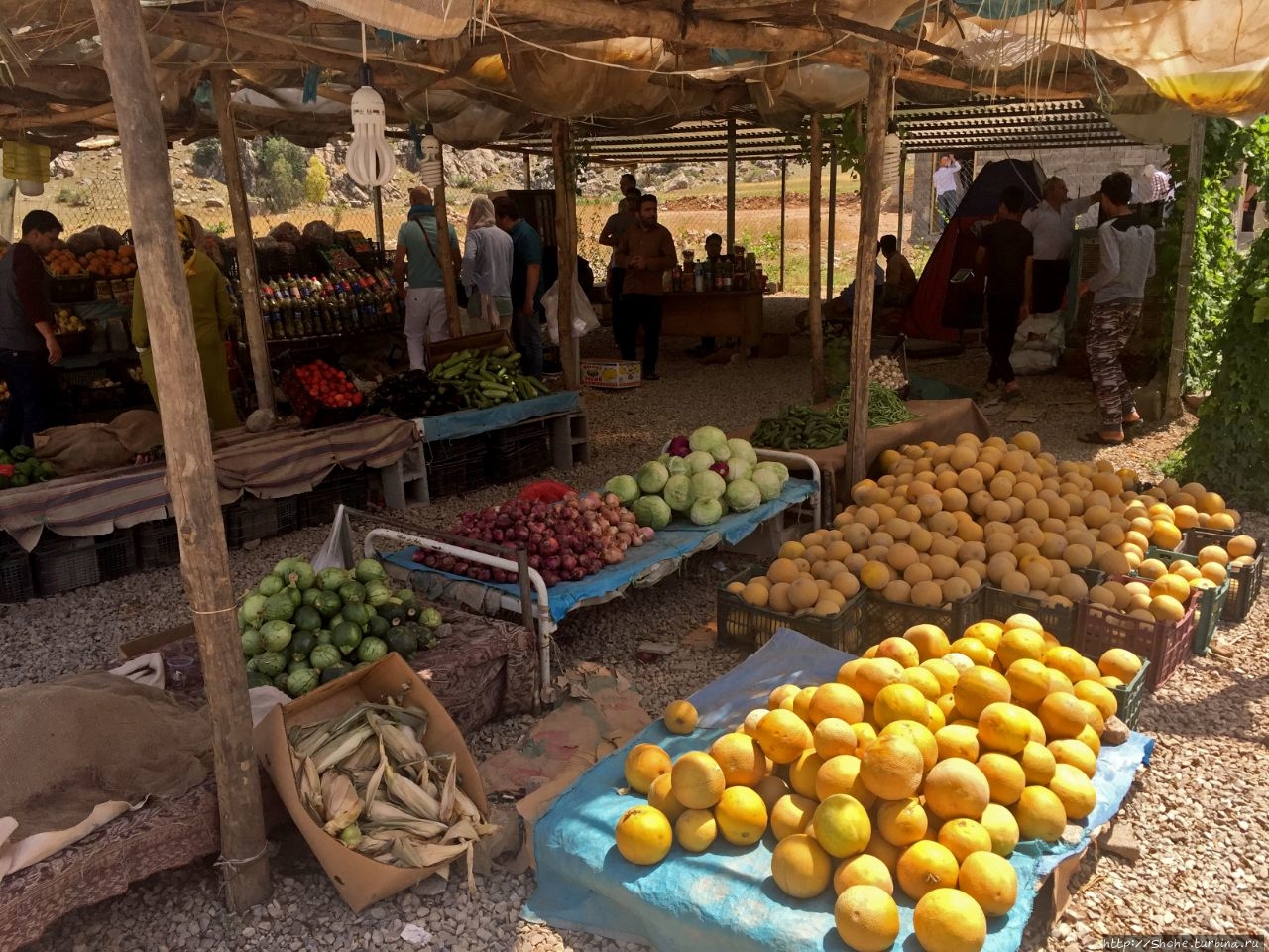Катим по Ирану. Придорожный рынок в провинции Фарс Провинция Фарс, Иран