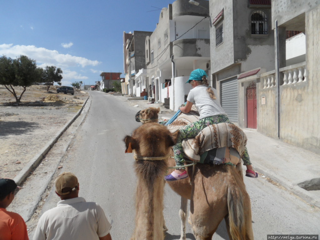 В горы на вербдюдах Хаммамет, Тунис