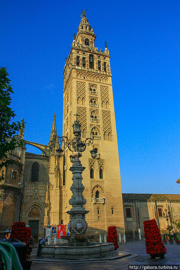 Собор (Catedral) Севилья, Испания
