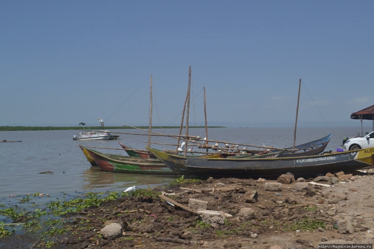 Пляж Данга Кисуму, Кения
