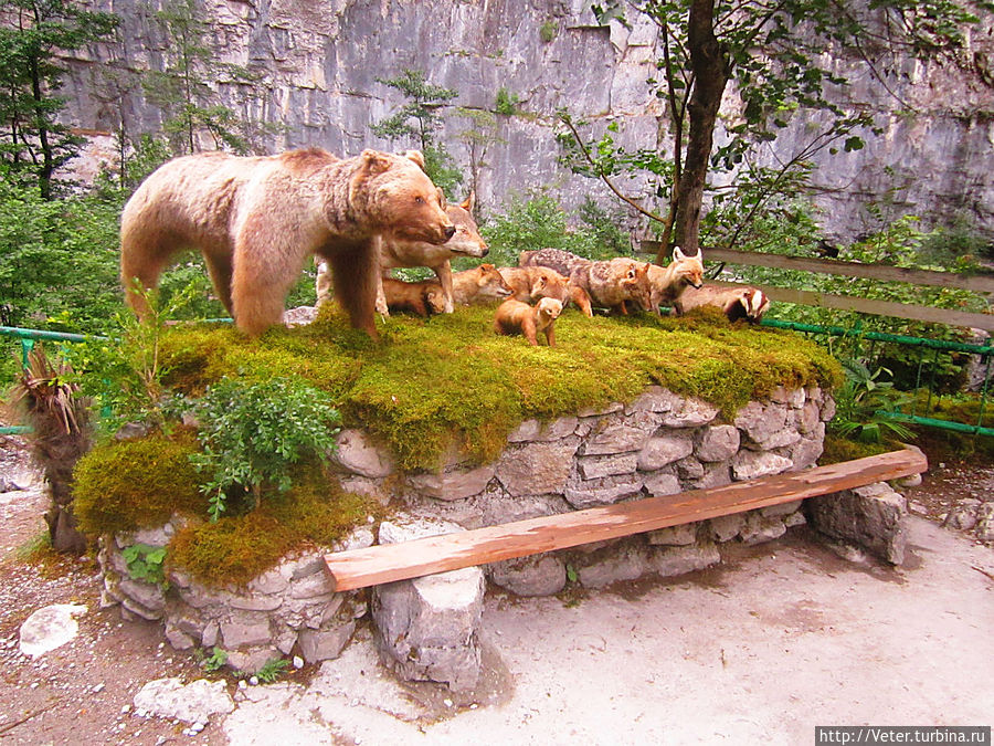 На небольшой стоянке нас встретили местные лесные жители.