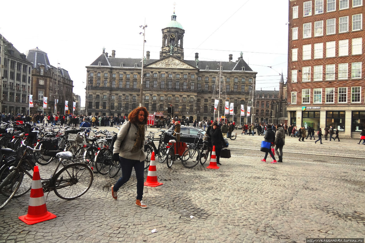 Истории из жизни Амстердама Амстердам, Нидерланды