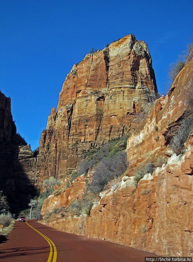 Погружение в каньон Зион. Zion Canyon Scenic Drive Национальный парк Зион, CША