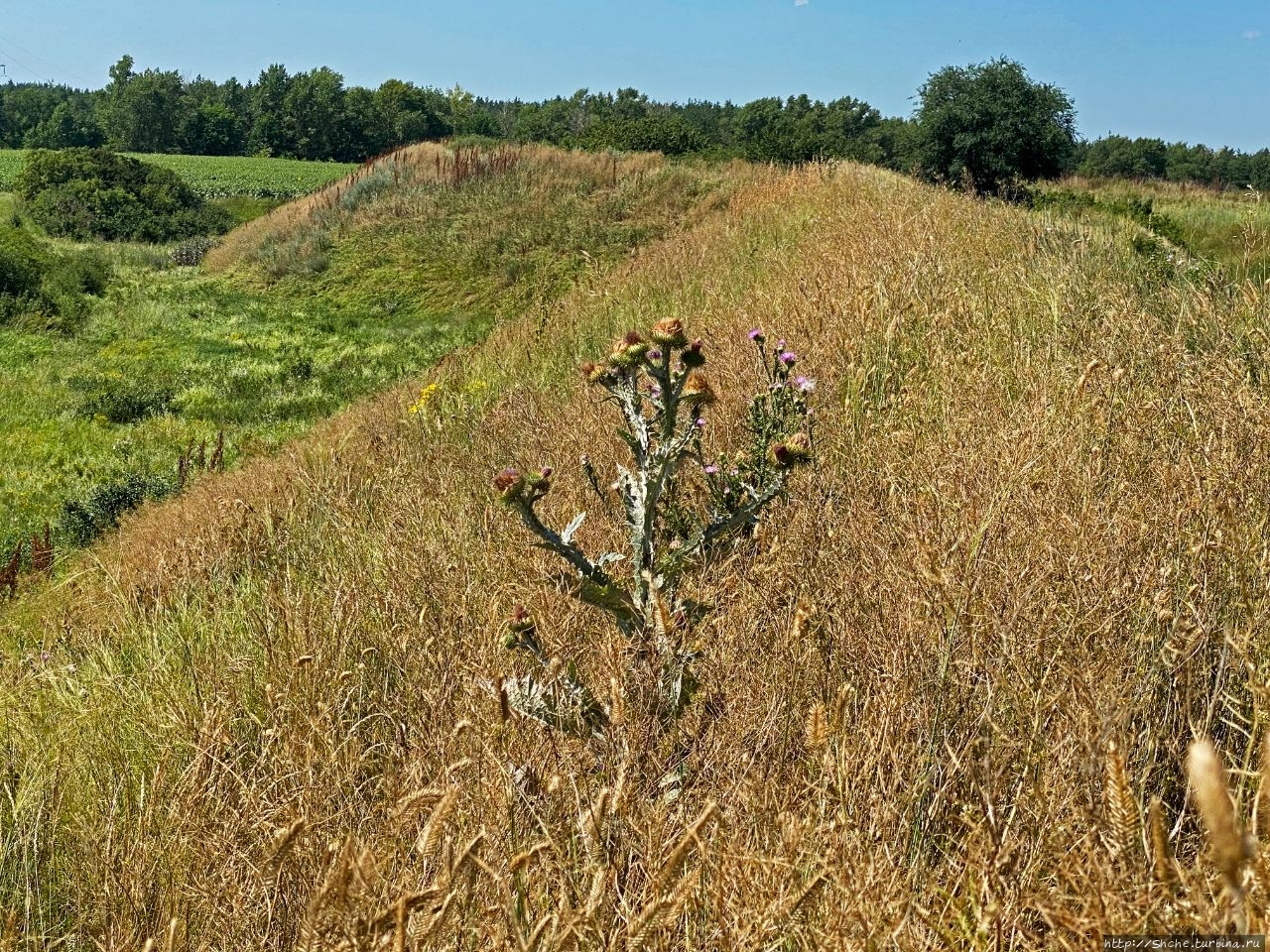 Ивановская крепость, или Форт св. Иоанна / Ivanovskaya fortress, or Fort of St. John