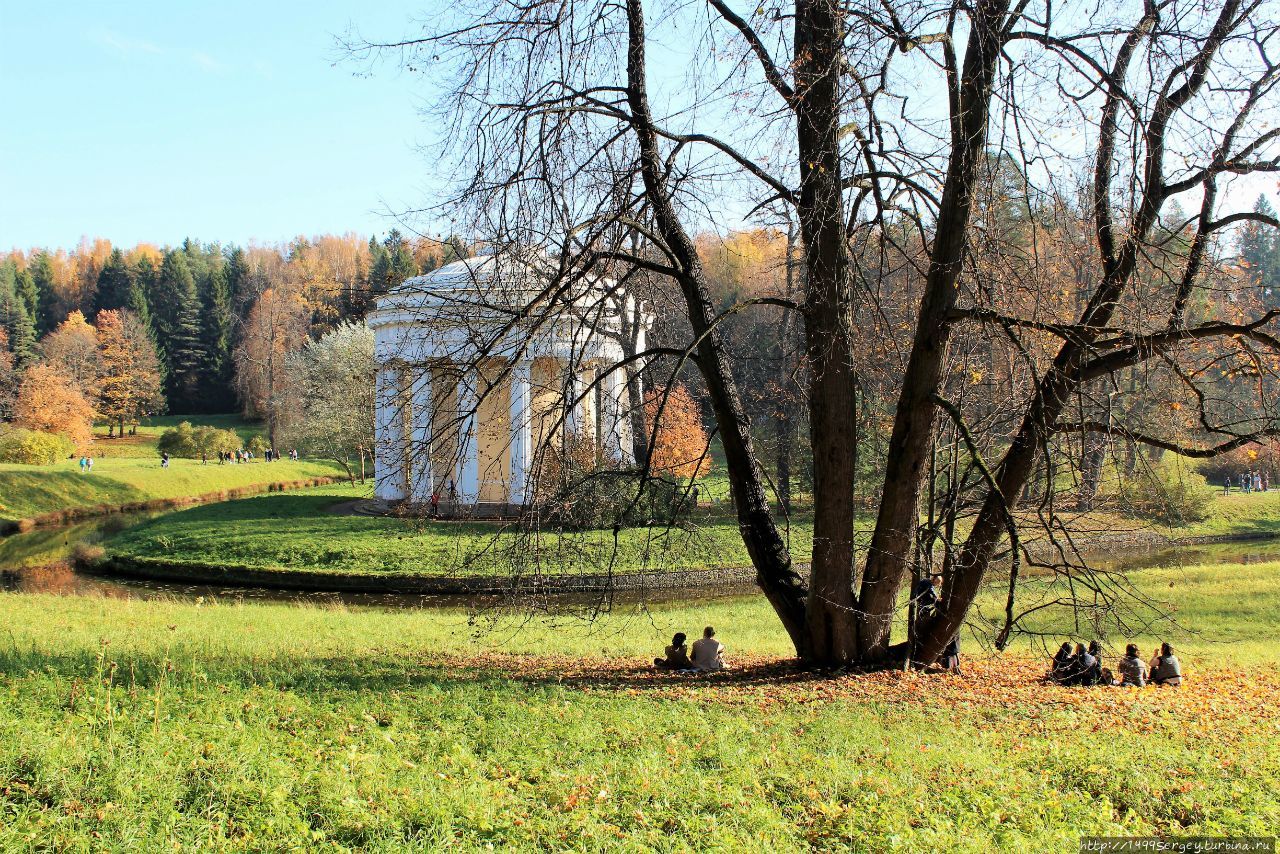 Золотая осень в Павловском парке, какой не было 130 лет #1 Павловск, Россия