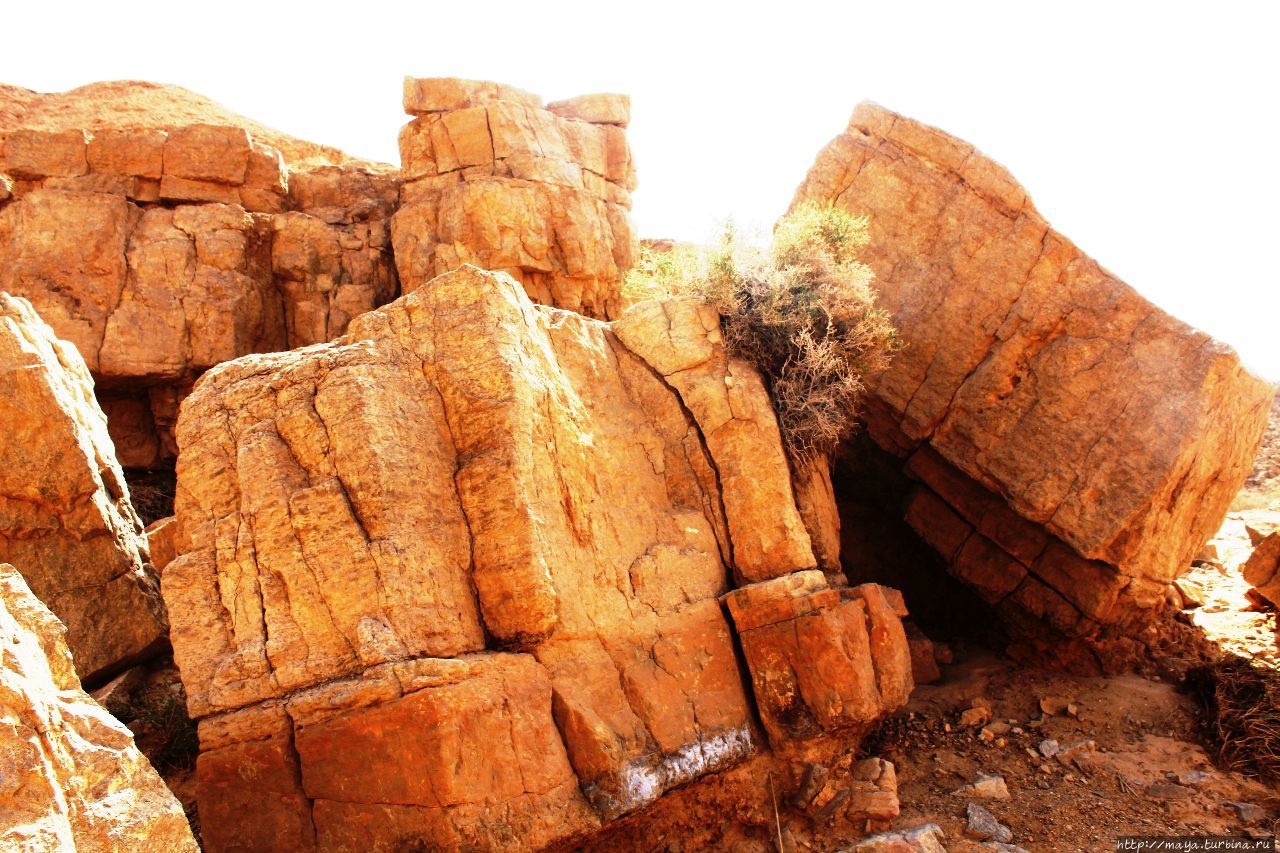 Парсат Некорот май 2018