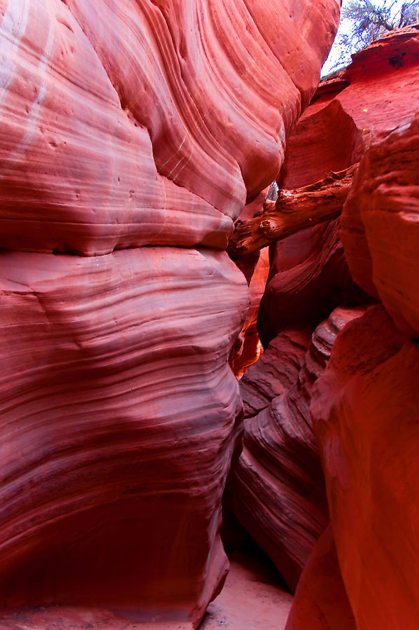 Огненный Slot Canyon и Белая Волна Гранд-Стэакейс-Эскаланте Национальный Монумент, CША