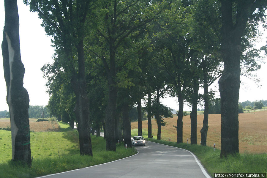 Проселочные дороги Польша