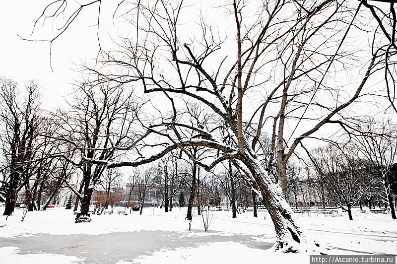 Зимняя Рига Рига, Латвия