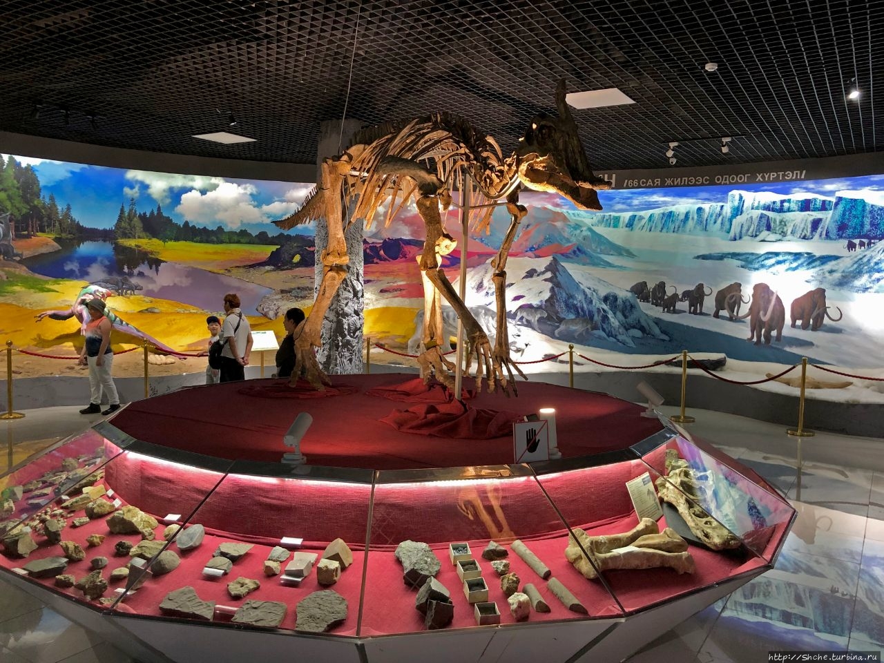 Центральный музей монгольских динозавров Улан-Батор, Монголия