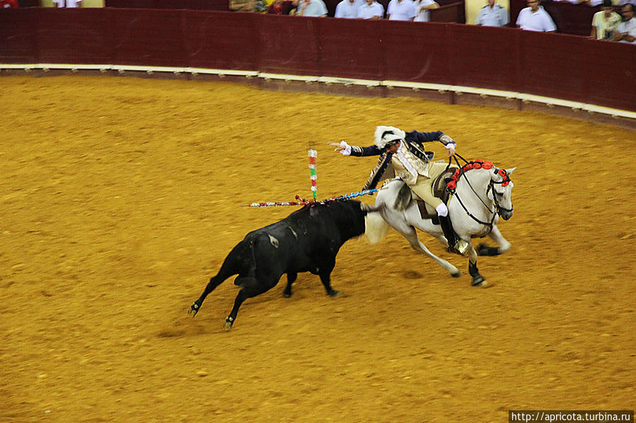 Турада по-лиссабонски! Лиссабон, Португалия