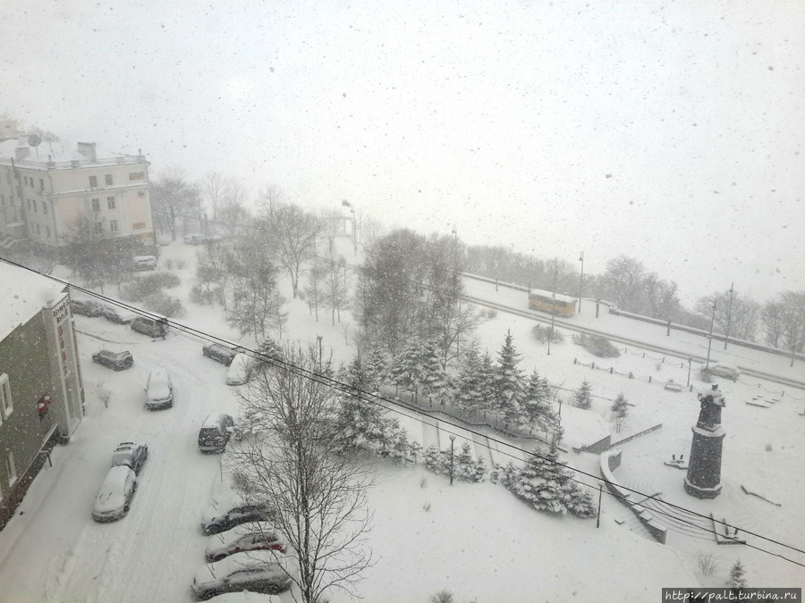 И снова снег, март, владивостокская весна Владивосток, Россия