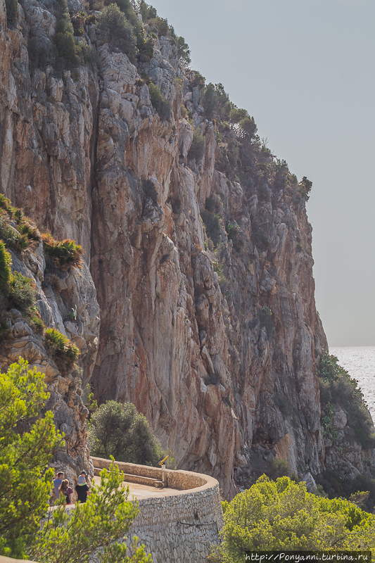 Пещера Арта Каньямель, остров Майорка, Испания