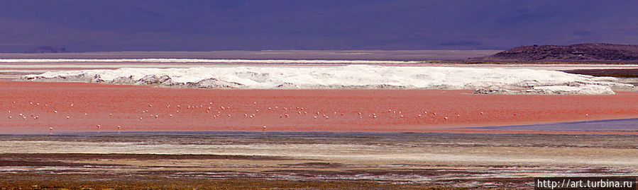 кстати, сугробы на заднем плане — это не снег, а минерал боракс.
А вода в этом озере лагуна Колорадо реально красная от обитающих там микроорганизмов. Уюни, Боливия