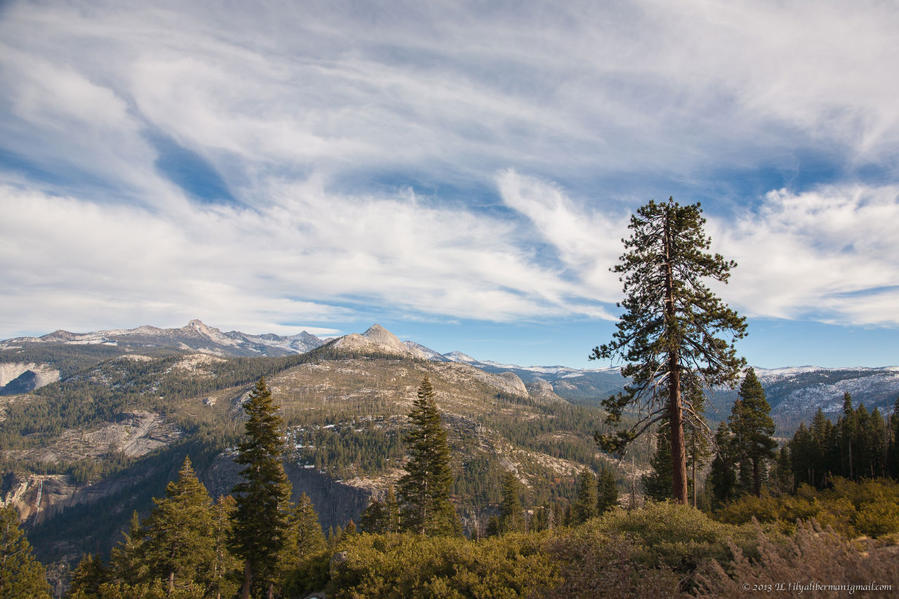 Снимок сделан моим другом, Ильёй Либерманом Йосемити Национальный Парк, CША