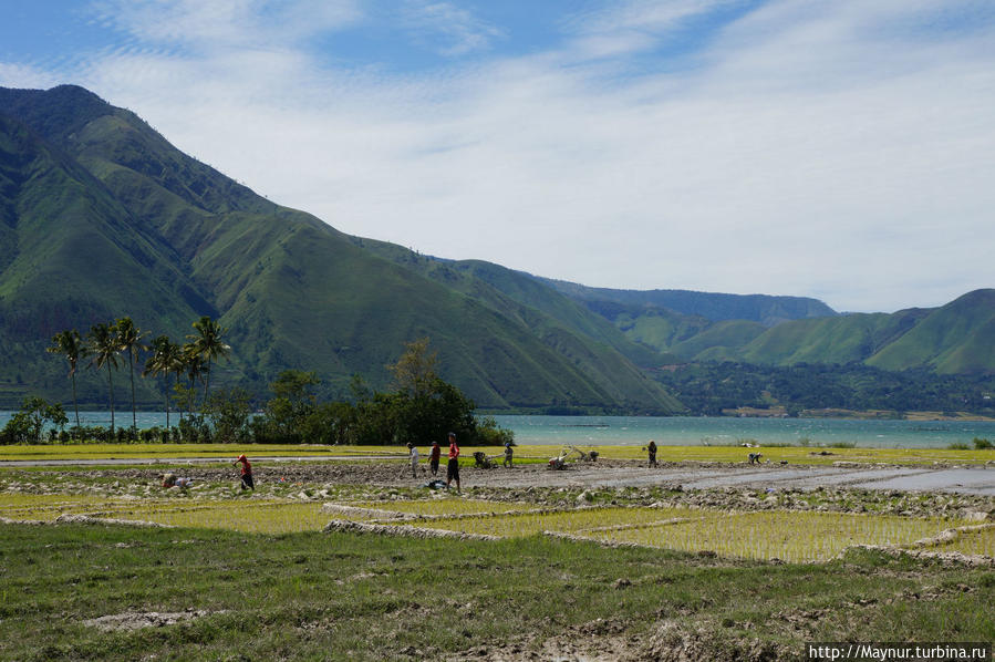 На   мотобайке   вокруг   острова   Самосир... Медан, Индонезия