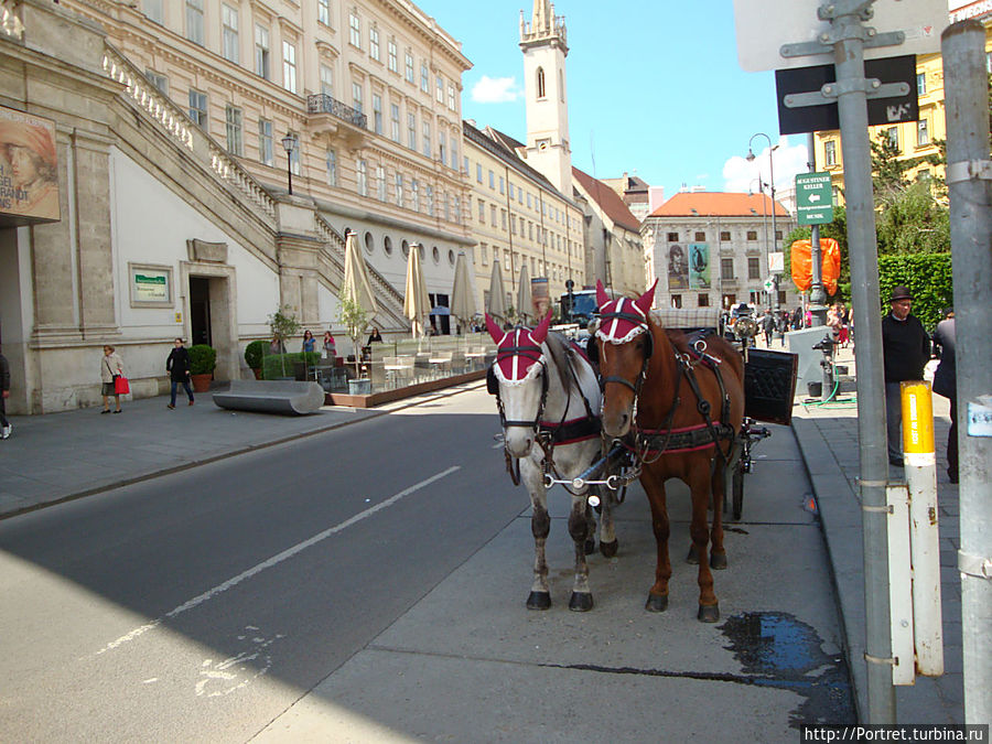 Вена: Два колеса любви Вена, Австрия