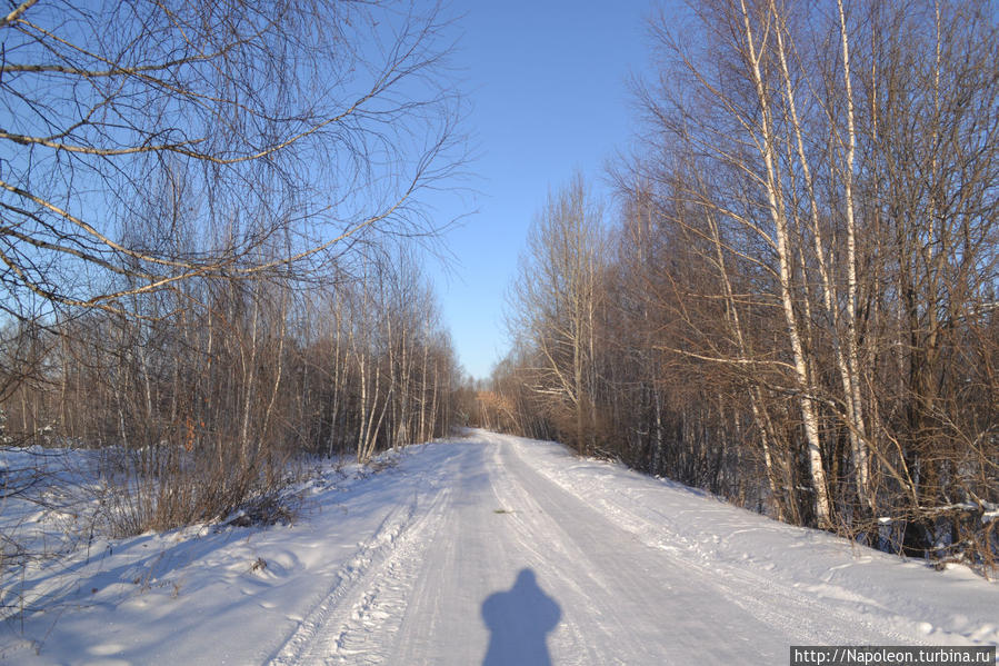 Мороз и солнце Лесной, Россия
