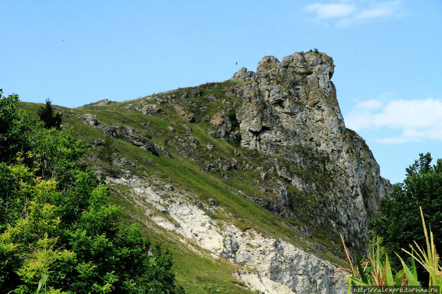 Толтровая скала над рекой Лопатник у села Коржеуць, Бричанский р-он Молдова