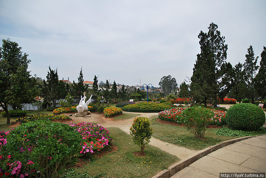 Парк цветов в Далате Далат, Вьетнам