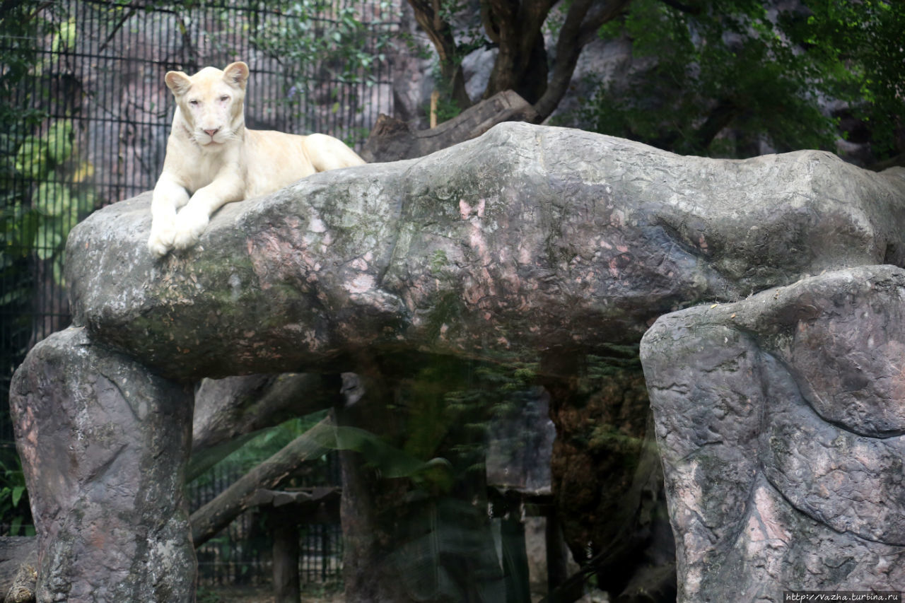 Зоопарк Бангока Дусит. Первая часть Бангкок, Таиланд