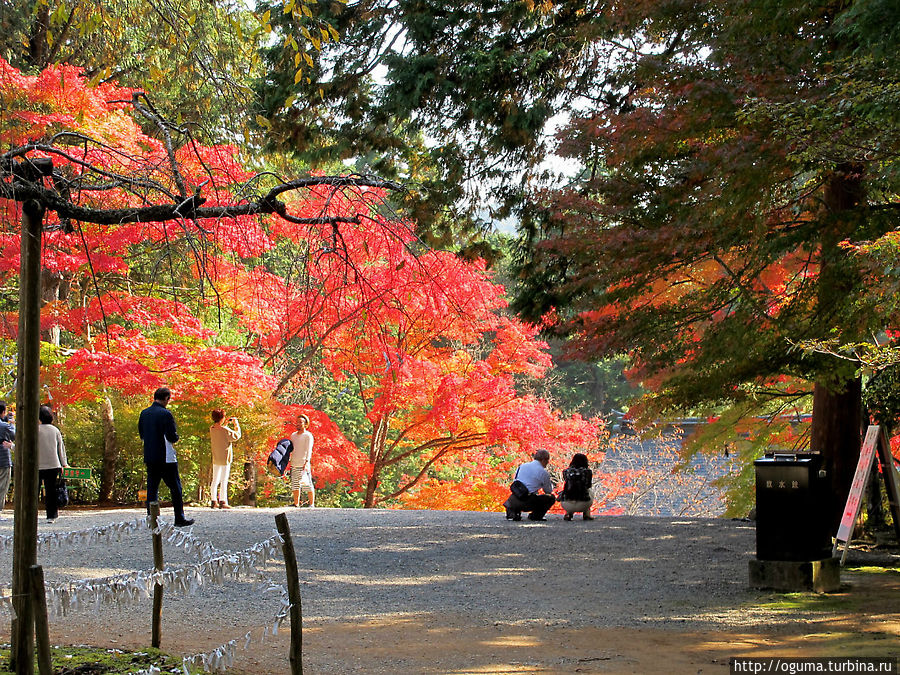 Осень в Японии. Избранное Япония