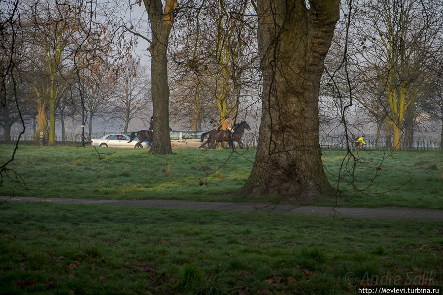 Гайд-парк — королевский парк  в центре Лондона. Лондон, Великобритания