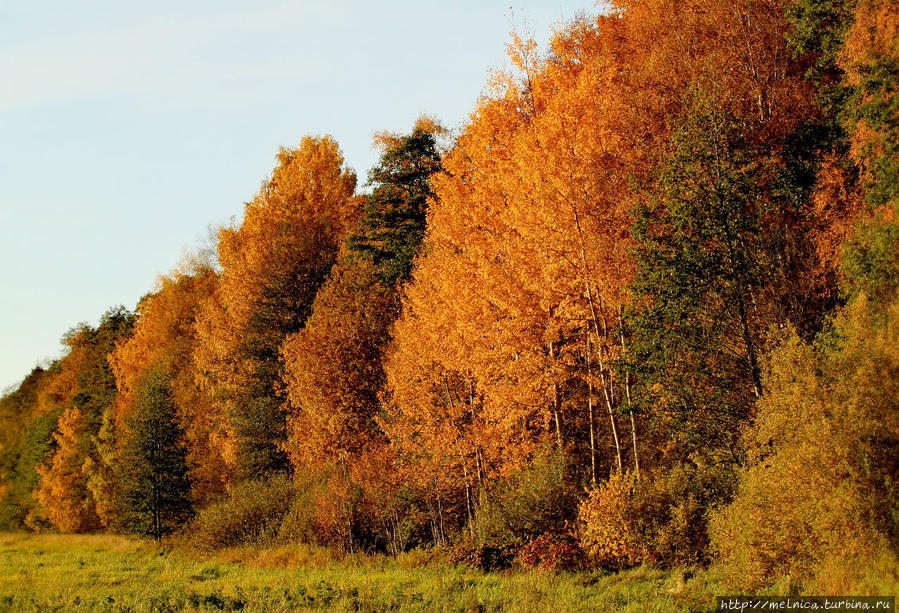 Осенне-сентиментальное... Латвия