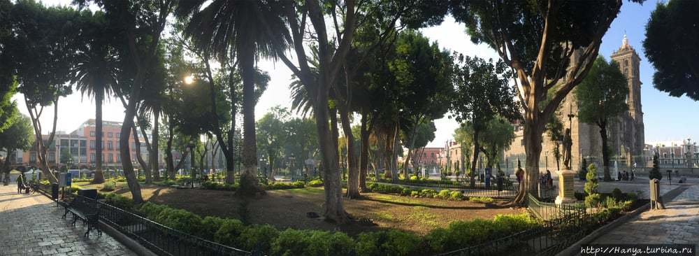 Из интернета