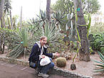 Настоящая кактусовая вакханалия в Экзотическом саду. Представлено  более 700 видов кактусов.