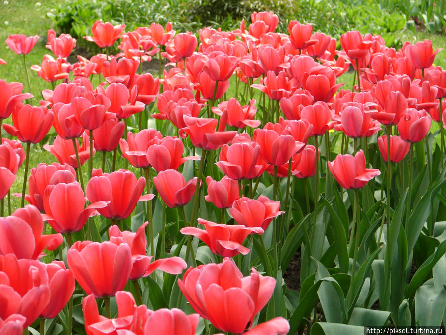 С Днем ПОБЕДЫ!!!