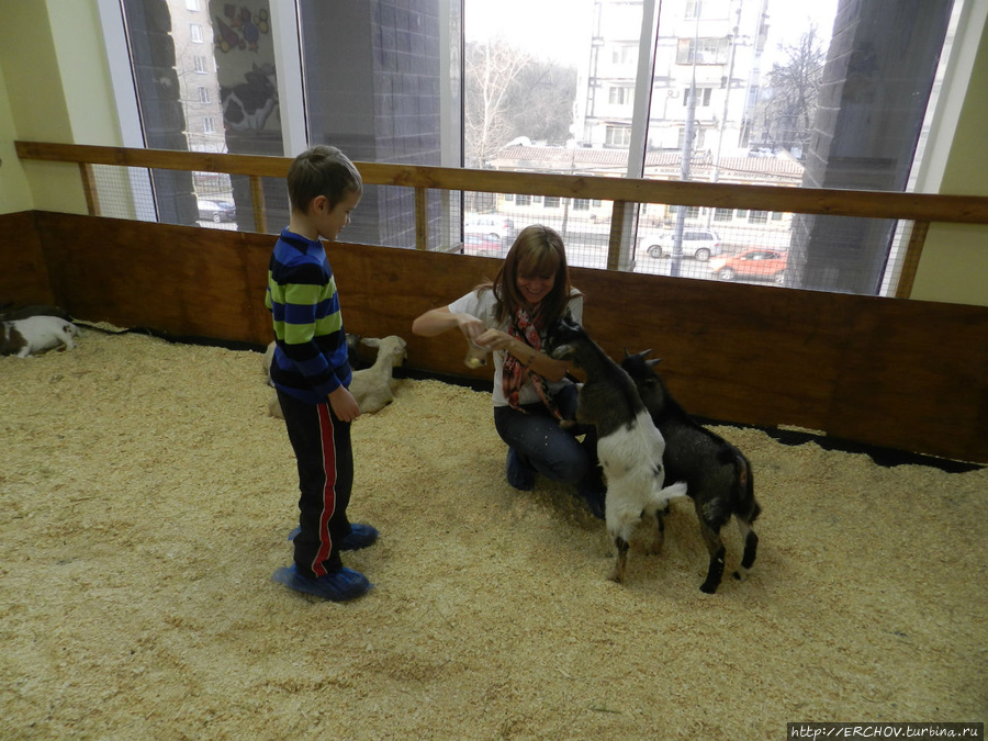 Детский контактный зоопарк Москва, Россия