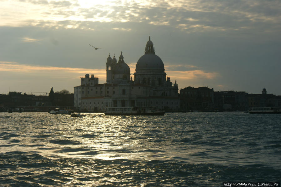 Santa Maria della Salute Венеция, Италия