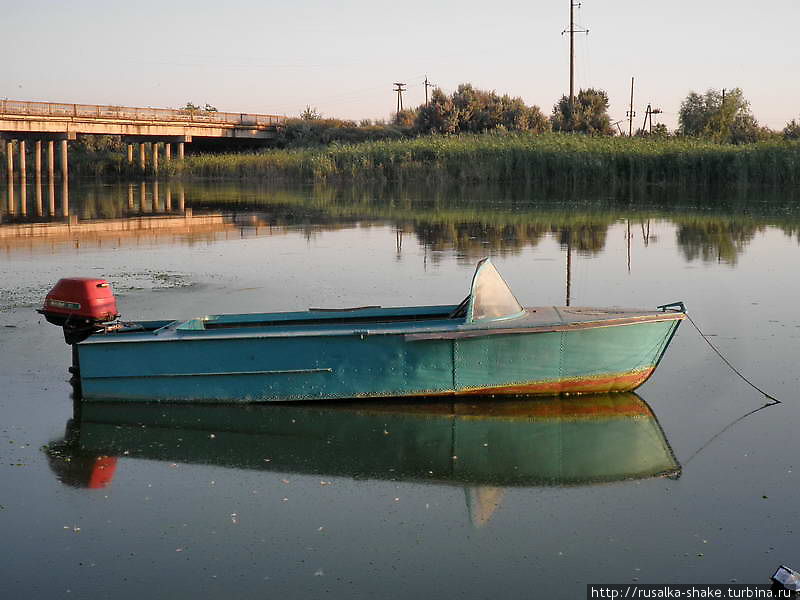 Мертвый Донец — живая вода Недвиговка, Россия