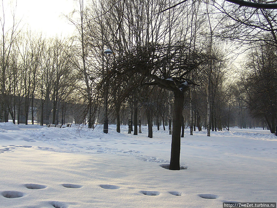 Я этим городом храним. Несостоявшийся Царский городок Санкт-Петербург, Россия