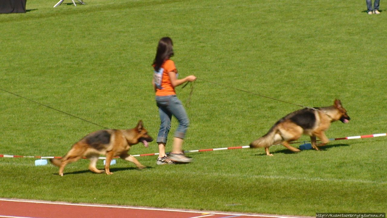 Зигер в Ульме Ульм, Германия