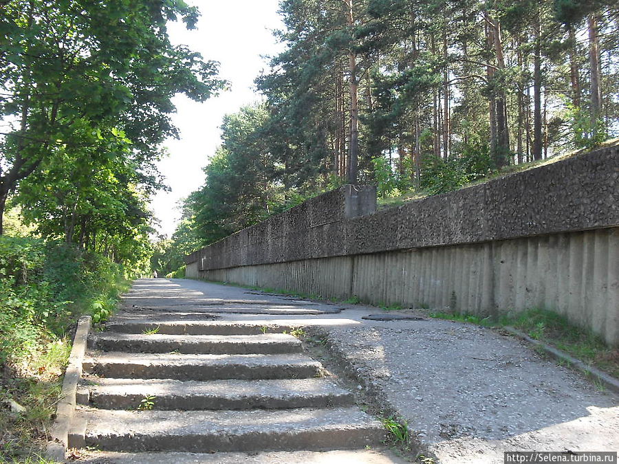 Сосновый Бор — знакомство с городом Сосновый Бор, Россия