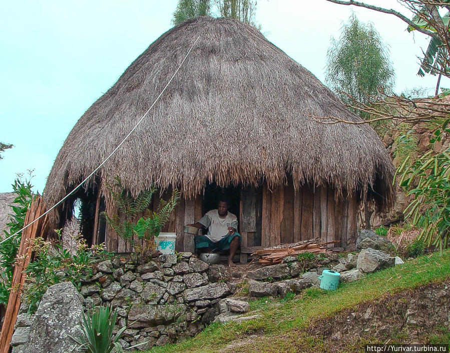 Типичный дом папуасов Дани Вамена, Индонезия