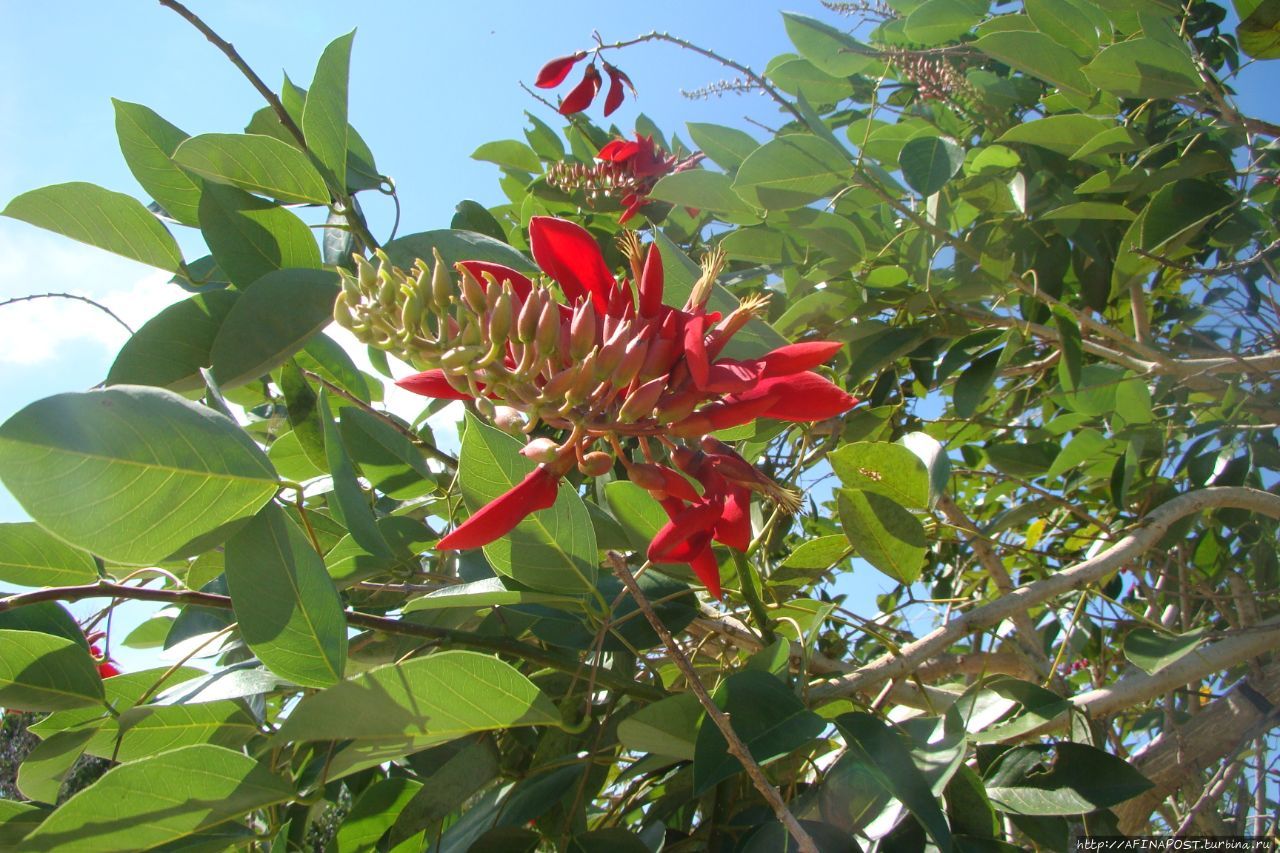 Национальный природный парк Фу Куок / Phu Quoc National Park