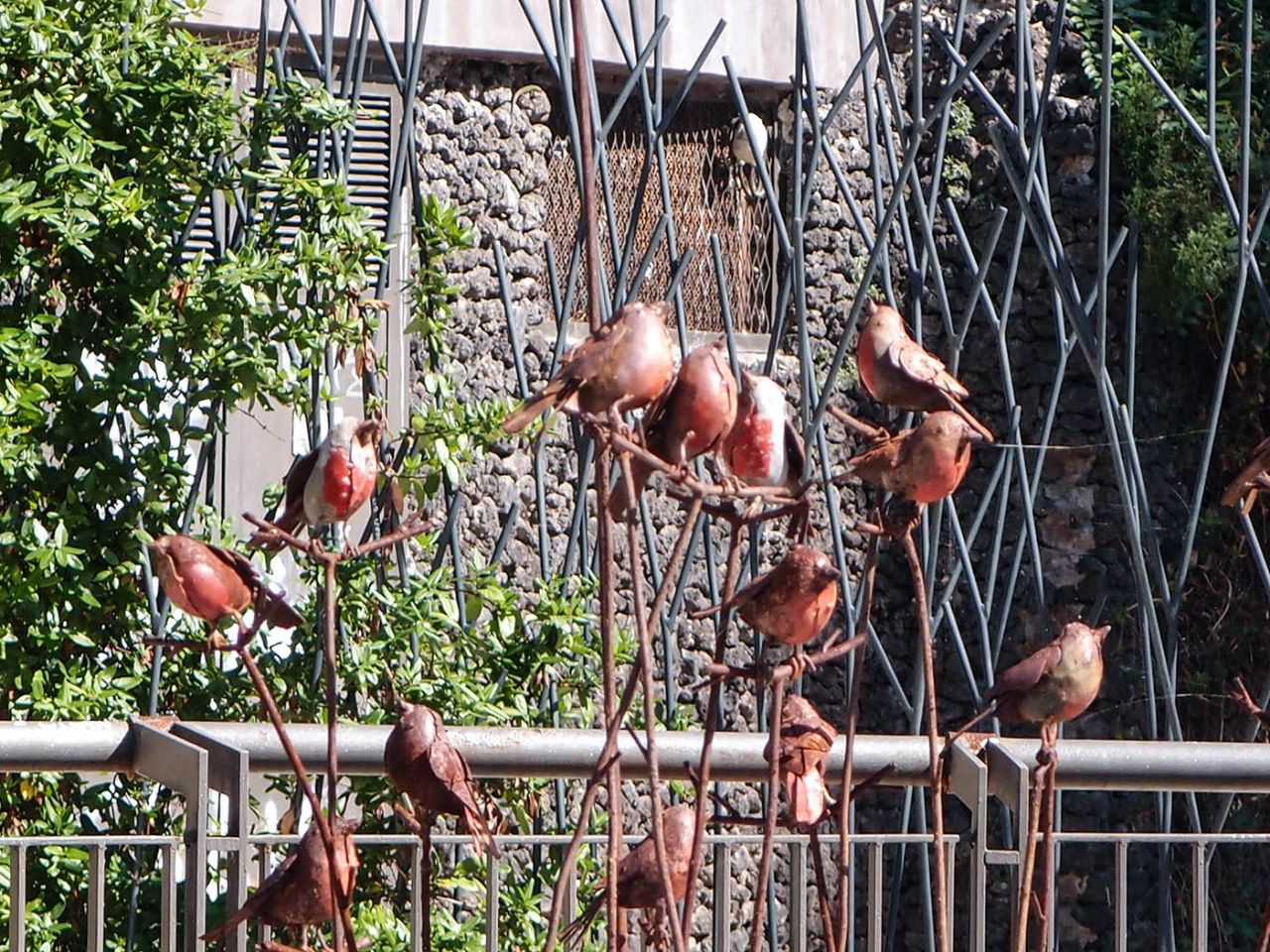 Катания Беллини Катания, Италия