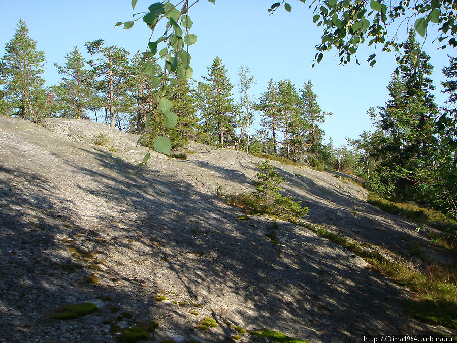 Ну что, вперед по склонам Коли Национальный Парк, Финляндия