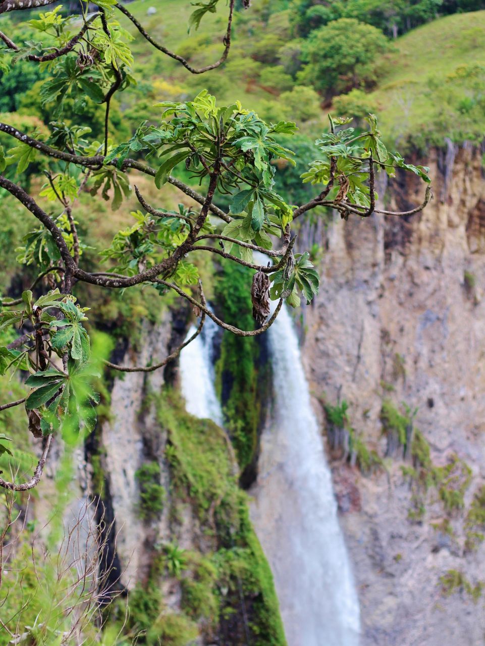 Водопад Мортиньо Иснос, Колумбия