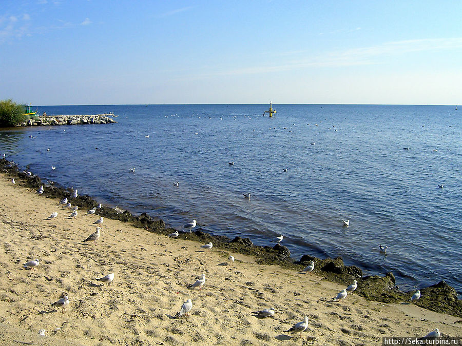 На пляже Гдыня, Польша