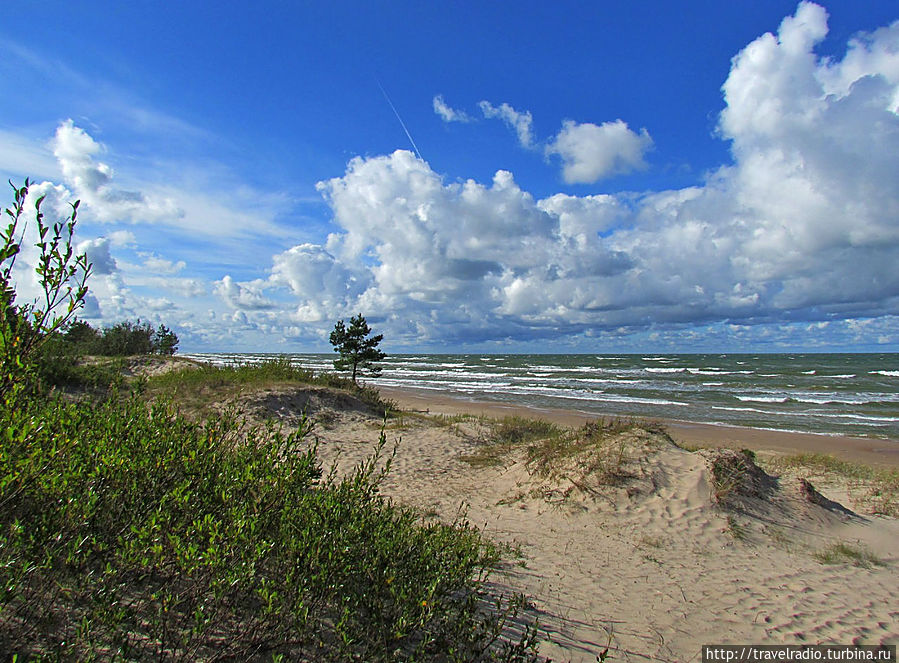 Микельторнис Латвия