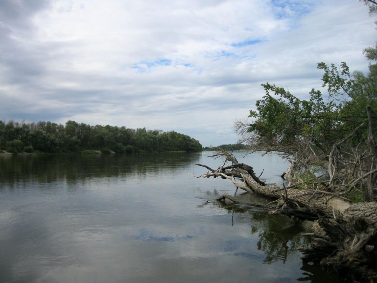 Десна. Украина