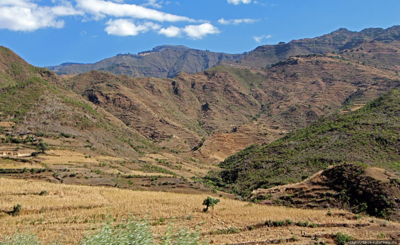 Эфиопские картинки. Живописное плоскогорье близ Лалибелы Регион Амхара, Эфиопия