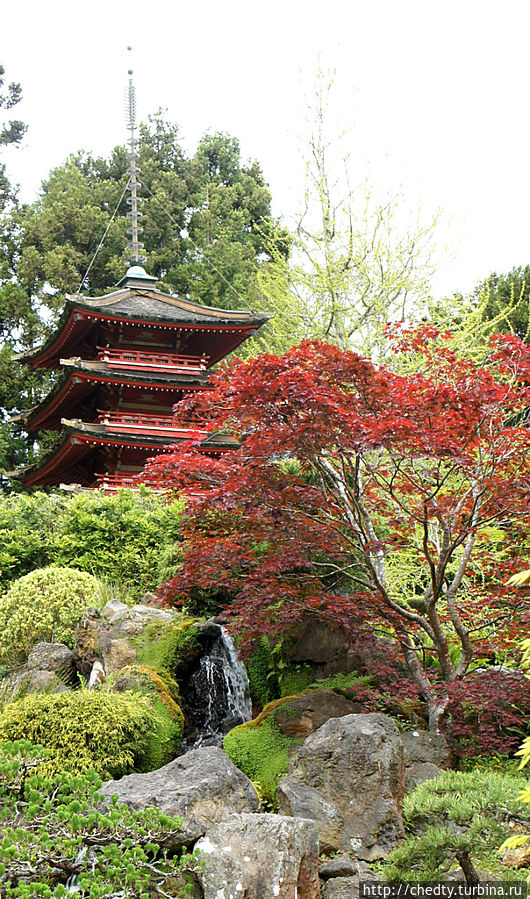 Ты видел что нибудь красивее? (Часть 6) Сан-Франциско, CША