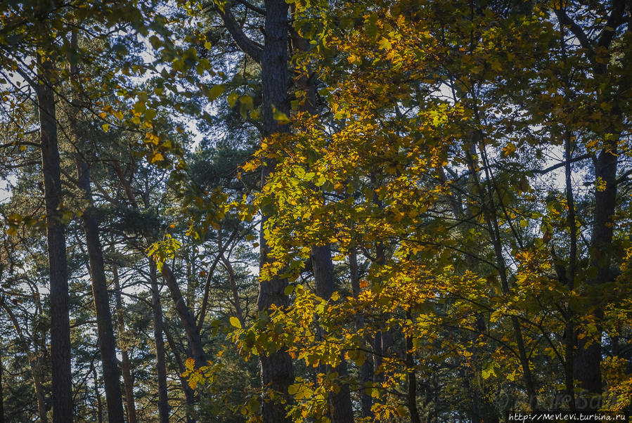 Прогулка в осеннем Лиелупе Юрмала, Латвия