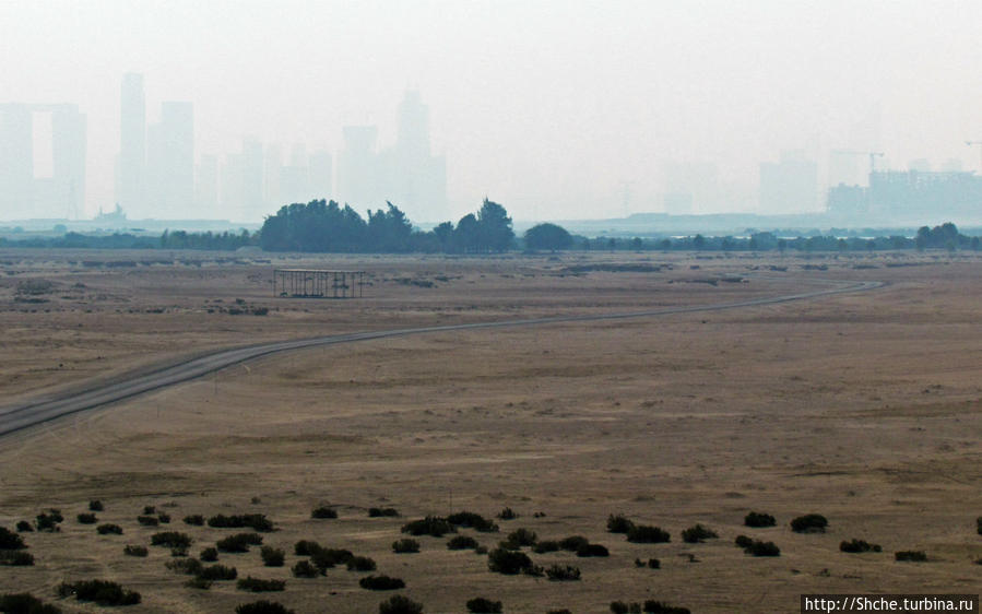 эти песчаные пространства выделены полностью для антилоп даби Остров Джубейл, ОАЭ