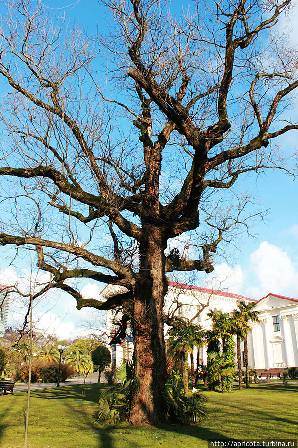 природа в ожидании прихода настоящей весны